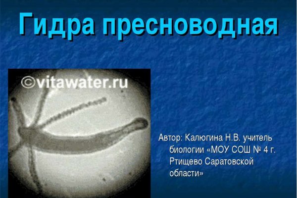 Кракен маркет даркнет только через торг