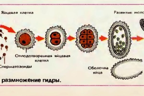 Kra49.at Вход на сайт главная страница