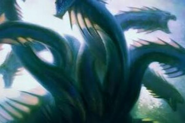 Kraken tor link