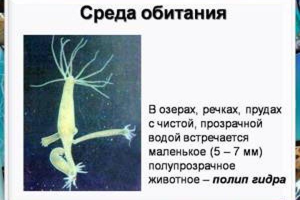 Кракен ссылка замена