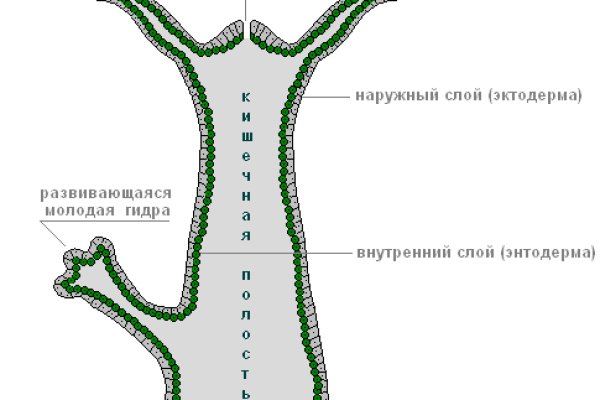Ссылка на кракен на сегодня
