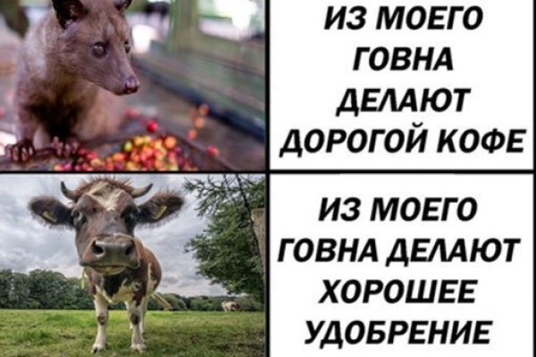 2krn x